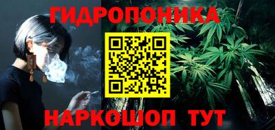 Альфа ПВП Будённовск