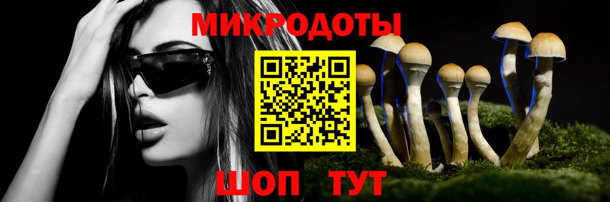 Галлюциногенные грибы мицелий Новосибирск